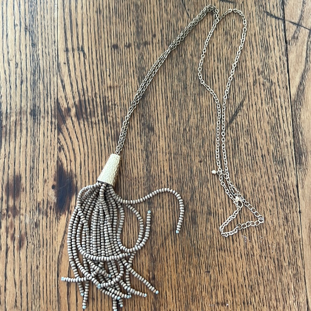 Long Chain Gold Necklace with Tassel